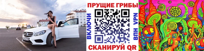 Купить  Тихорецк  Псилоцибиновые грибы GOLDEN TEACHER 